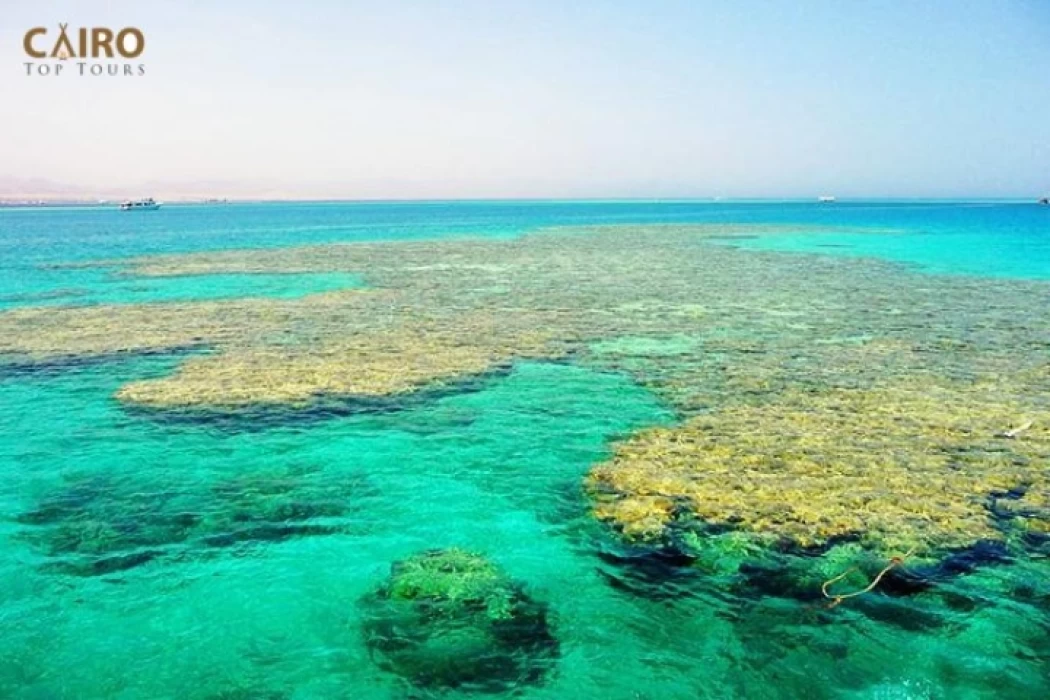 Ilha Tiran Sharm El Sheikh | Mergulho na Ilha Tiran